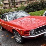 DSC 0129 4-