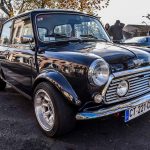 Rasso de Castelginest 0115- Castelginest