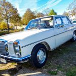 Rasso des Dérouillés des Trois Provinces 193-