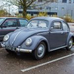 Sortie du Dimanche Matin Troyes 8193-