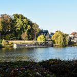 rasso triel sur triel 2016 1-