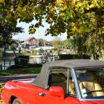 rasso triel sur triel 2016 23-