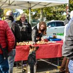 rasso triel sur triel 2016 231-