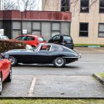 rasso gazo janvier 2017 107-