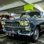 Maxi 5 50- Maxi 5