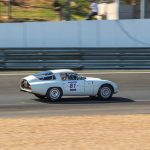 Le Mans Classic 2016 Plateau 4 149- Alfa Romeo TZ