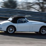 coupes de printemps 2017 140- Coupes de Printemps 2017