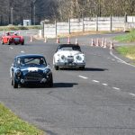 coupes de printemps 2017 377- Coupes de Printemps 2017