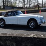 coupes de printemps 2017 417- Coupes de Printemps 2017