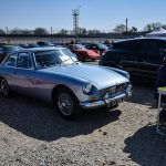 coupes de printemps 2017 559- Coupes de Printemps 2017