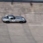 coupes de printemps 2017 796- Coupes de Printemps 2017