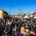 Bourse de Courtenay 2017 62- bourse de Courtenay 2017