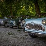 Chalon Parc du Grand Jard 82-