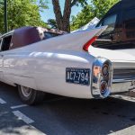 DSC 0043 22na- Rock and Cars 2017