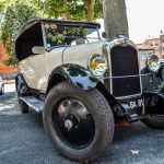 DSC 0139 4na- Rock and Cars 2017