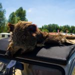Madine 2017 36- lac de Madine