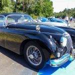 Virage de Mulsanne Jaguars 10- Virage de Mulsanne