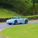 Bugatti Owners Club Bugfest 2017 1047- Bugfest