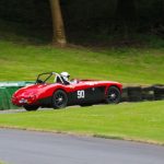 Bugatti Owners Club Bugfest 2017 2248- Bugfest
