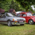 IMG 7591- Coursan-en-Othe