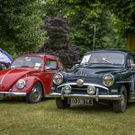 IMG 7592- Coursan-en-Othe
