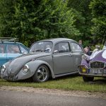 IMG 7607- Coursan-en-Othe
