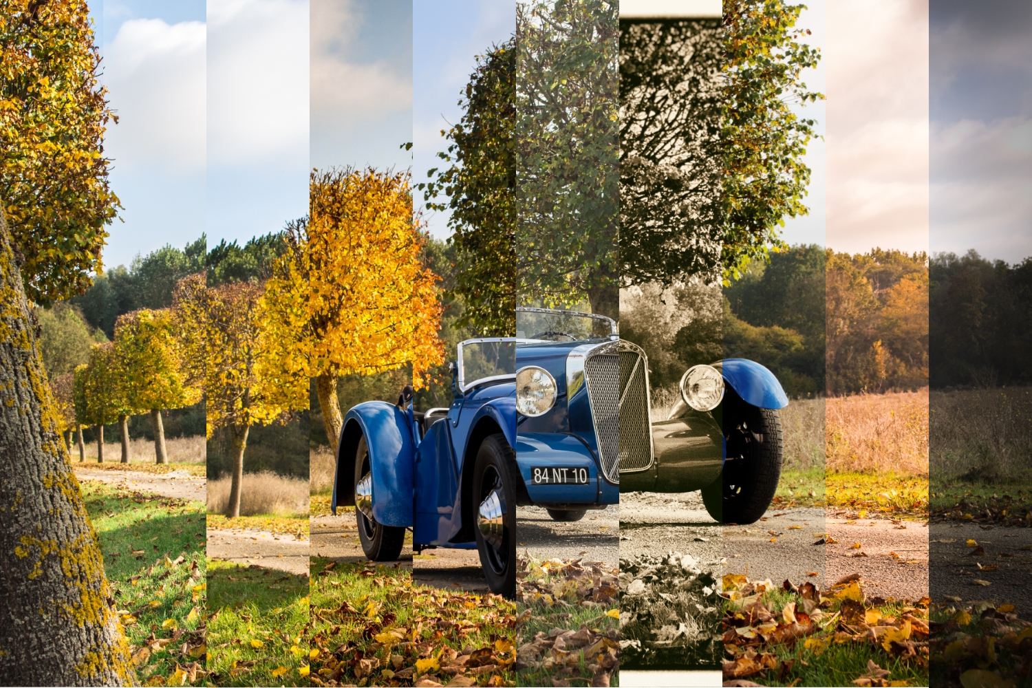 10 nuances de Georges Irat, une photo, mais chacun sa vision !