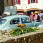 Clisson Vintage 4 23- Clisson Vintage