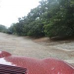 DSC00036-
