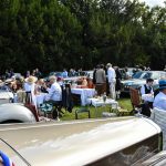 chantilly 2017 865- Chantilly Art et Elegance 2017