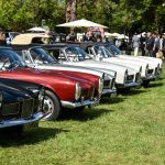 chantilly 2017 897- Chantilly Art et Elegance 2017