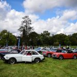 chantilly 2017 953- Chantilly Art et Elegance 2017
