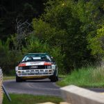 Vosges Rallye Festival 2017 53- Vosges Rallye Festival 2017