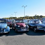 automedon 2017 520- Automédon 2017