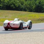 GPAO2015 1545- Birdcage