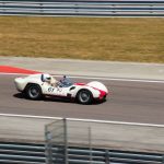 GPAO2015 1622- Birdcage