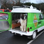 Hibernatus 4L St Bernard- Hibernatus