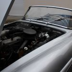 Hibernatus Mercedes 190 SL 1959 1- Hibernatus