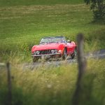 sans titre 17- Fiat Dino Spider