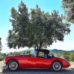 19429386 437154866643203 547202812312813568 n- Circuit des Coteaux Languedociens 2018