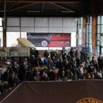 IMG 1503 F- Puces de La Beaujoire 2018