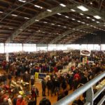 LES PUCES NANTAISES V.P.O BEAUJOIRE 26- Bourse de la Beaujoire 2019