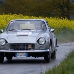 rétrospective Marc 2017 41-
