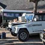 Breuilpont rasso 2018 86 1-