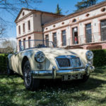 DSC 0025 34- Bourse de Gaillac 2018