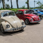 DSC 0636 2- Bouchon de Lavaur 2018