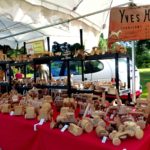 CHEZ BÉNUREAU STE LUCE SUR LOIRE EXPOS BALADES BOURSE 2018 Par Marc newsdanciennes . 16-