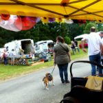 CHEZ BÉNUREAU STE LUCE SUR LOIRE EXPOS BALADES BOURSE 2018 Par Marc newsdanciennes . 61-
