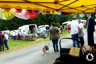 CHEZ BÉNUREAU STE LUCE SUR LOIRE EXPOS BALADES BOURSE 2018 Par Marc newsdanciennes . 61-