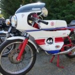 CHEZ BÉNUREAU STE LUCE SUR LOIRE EXPOS BALADES BOURSE 2018 Par Marc newsdanciennes . 98-